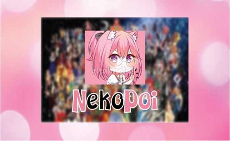 Apk Nekopoi